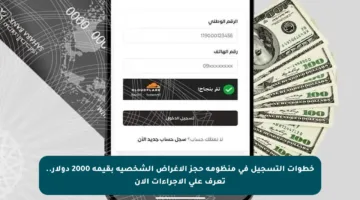 خطوات التسجيل في منظومة حجز الأغراض الشخصية بقيمة 2000 دولار.. تعرف على الإجراءات الآن